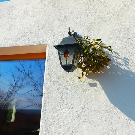 Oaza Miru In Zdravja Goricko *