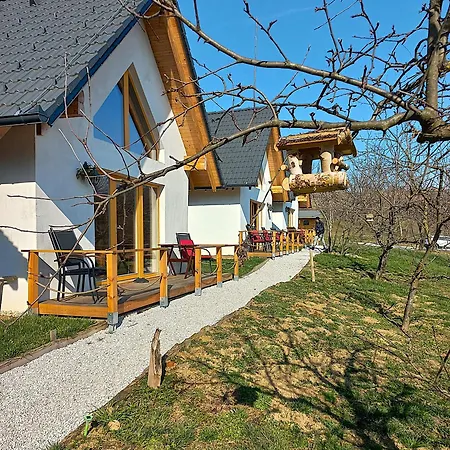 Oaza Miru In Zdravja Goricko