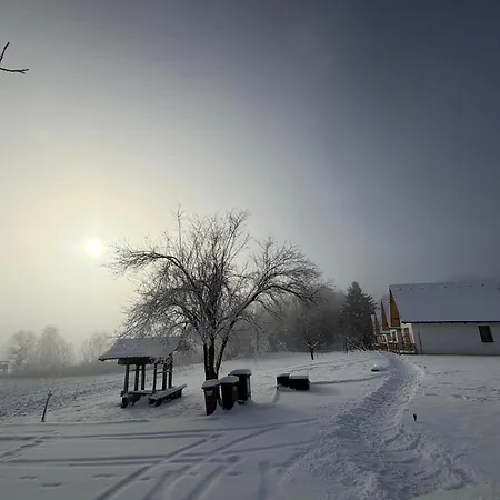 Oaza Miru In Zdravja Goricko *