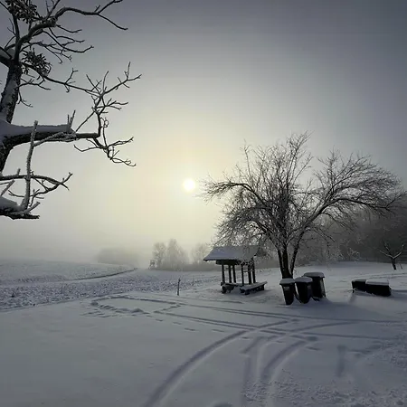 Oaza Miru In Zdravja Goricko * Moravske Toplice