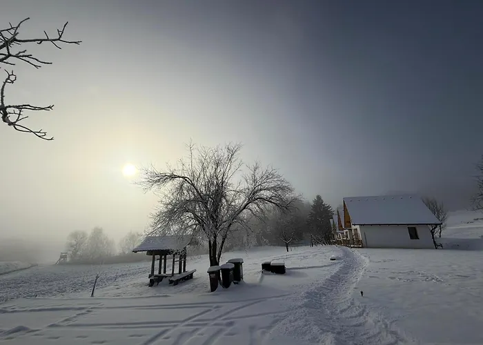 Oaza Miru In Zdravja Goricko *