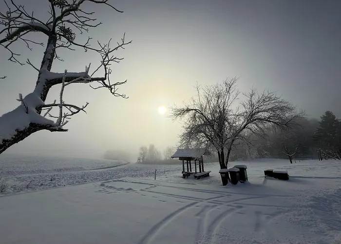 Oaza Miru In Zdravja Goricko * Moravske-Toplice
